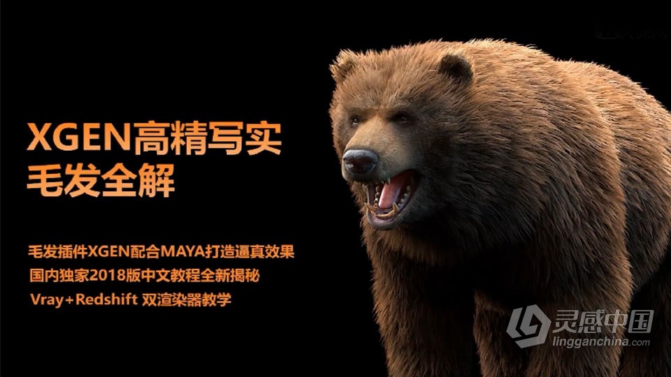MAYA高精度写实毛发完整制作工作流程视频教程  灵感中国网 www.lingganchina.com