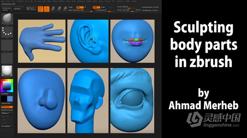 Zbrush人物脸部五官雕刻实例制作视频教程 中文字幕  灵感中国网 www.lingganchina.com