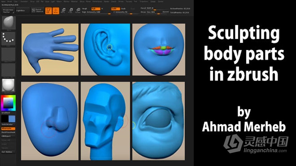 Zbrush人物脸部五官雕刻实例制作视频教程 中文字幕  灵感中国社区 www.lingganchina.com