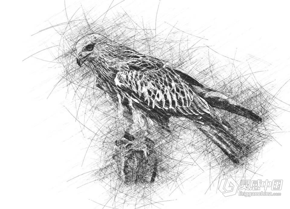 铅笔素描效果PS动作 Perfect Oil Paint Photoshop Action  灵感中国网 www.lingganchina.com