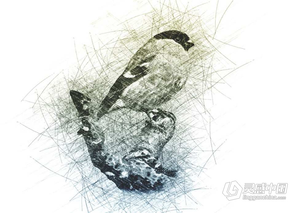 铅笔素描效果PS动作 Perfect Oil Paint Photoshop Action  灵感中国网 www.lingganchina.com