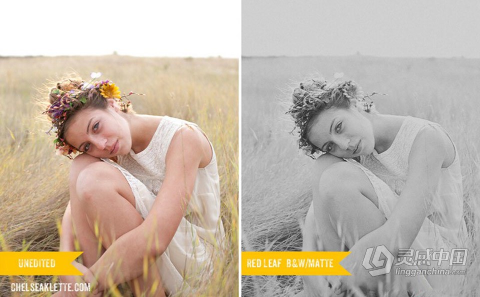 国外大师级电影胶片PS动作 Red Leaf Film Basics Actions  灵感中国网 www.lingganchina.com