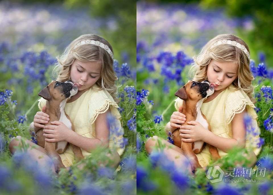 国外高端后期电影级调色PS动作 GTG系列-Innocence合集 THE INNOCENCE COLLECTION PHOTOSHOP ACTIONS  灵感中国网 www.lingganchina.com