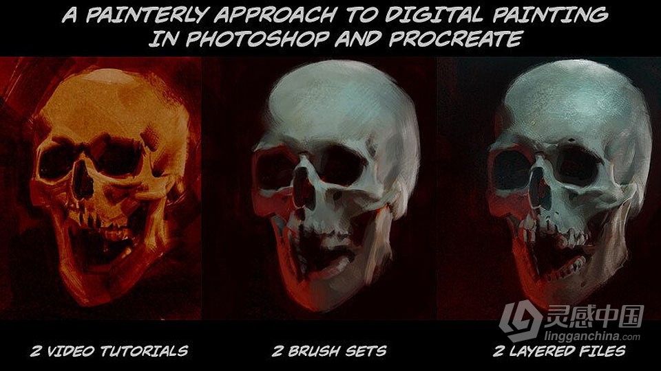 人类骷髅数字绘画实例训练视频教程  灵感中国社区 www.lingganchina.com