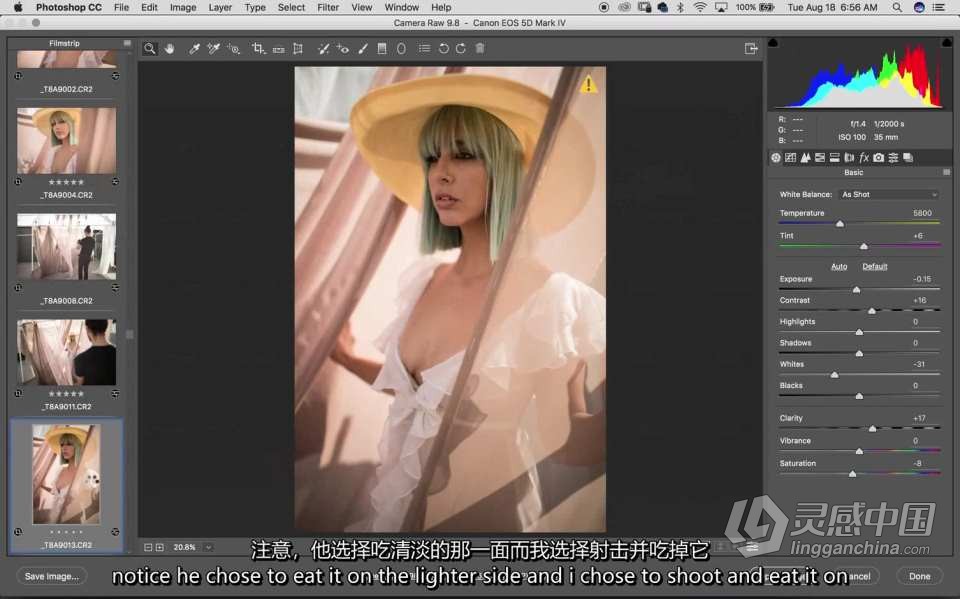 苏·布莱斯Sue Bryce创意外景人像拍摄及后期修图教程 中英字幕  灵感中国网 www.lingganchina.com