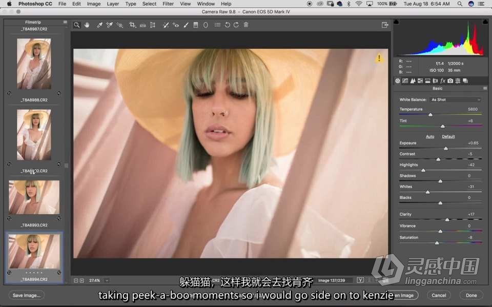 苏·布莱斯Sue Bryce创意外景人像拍摄及后期修图教程 中英字幕  灵感中国网 www.lingganchina.com