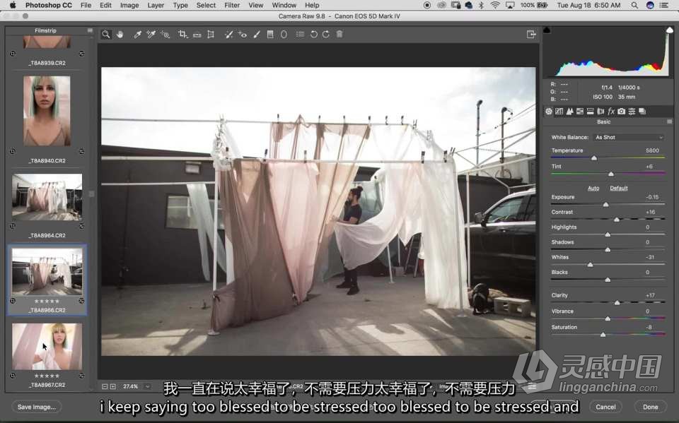 苏·布莱斯Sue Bryce创意外景人像拍摄及后期修图教程 中英字幕  灵感中国网 www.lingganchina.com
