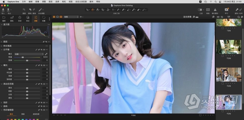 飞思软件RAW图像编辑软件 Capture One 22 Pro 15.4.2.12 for Mac 中文激活版下载  灵感中国网 www.lingganchina.com