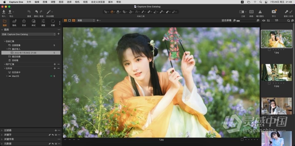 飞思软件RAW图像编辑软件 Capture One 22 Pro 15.4.2.12 for Mac 中文激活版下载  灵感中国网 www.lingganchina.com