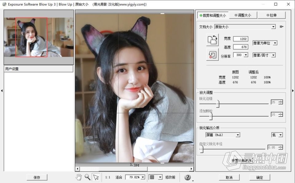 PS图像无损放大汉化插件 Exposure Software Blow Up 3.1.4.404 中文汉化版 WIN系统下载  灵感中国网 www.lingganchina.com