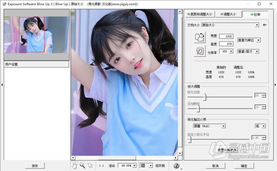 PS图像无损放大汉化插件 Exposure Software Blow Up 3.1.4.404 中文汉化版 WIN系统下载  灵感中国网 www.lingganchina.com