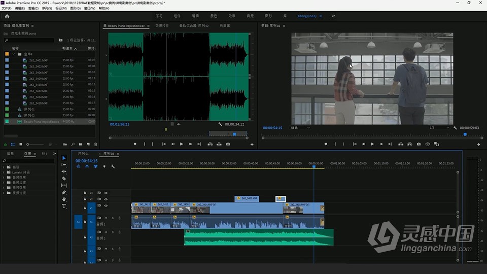 Adobe Premiere Pro 2019 软件入门课程 pr零基础自学中文教程 小白也能学会  灵感中国社区 www.lingganchina.com