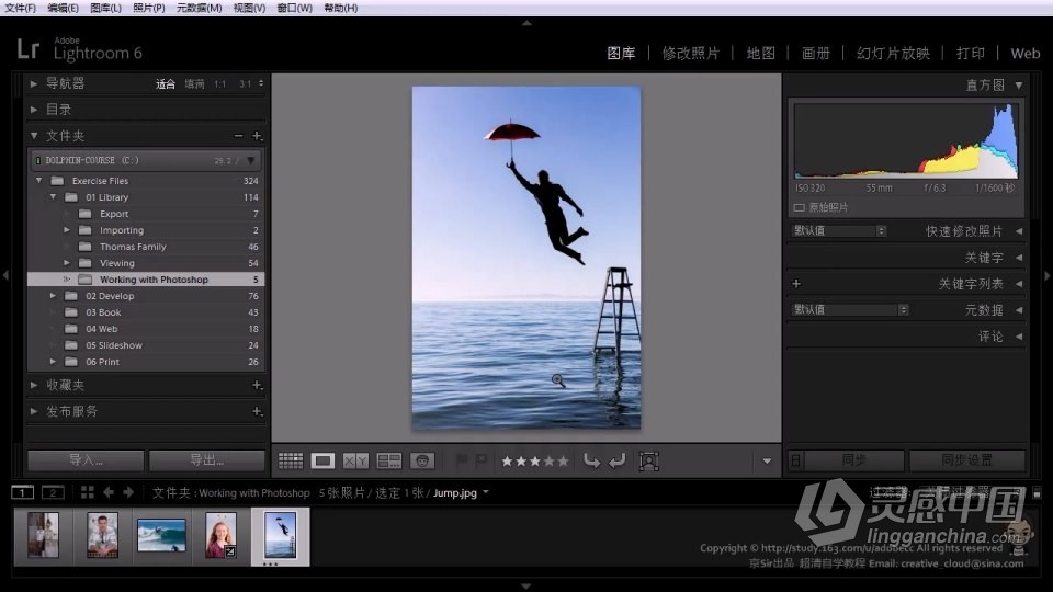 Lightroom软件入门课程 lr零基础自学中文教程 小白也能学会  灵感中国网 www.lingganchina.com