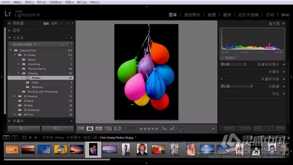 Lightroom软件入门课程 lr零基础自学中文教程 小白也能学会  灵感中国社区 www.lingganchina.com