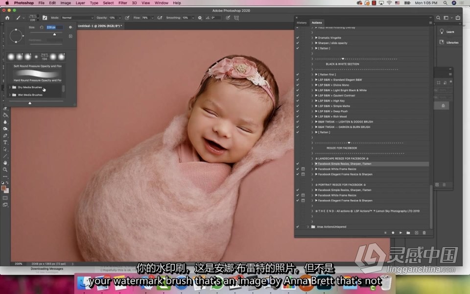 Ana Brandt Education-Belly Baby孕妇新生儿在线峰会第二卷 中英字幕  灵感中国网 www.lingganchina.com
