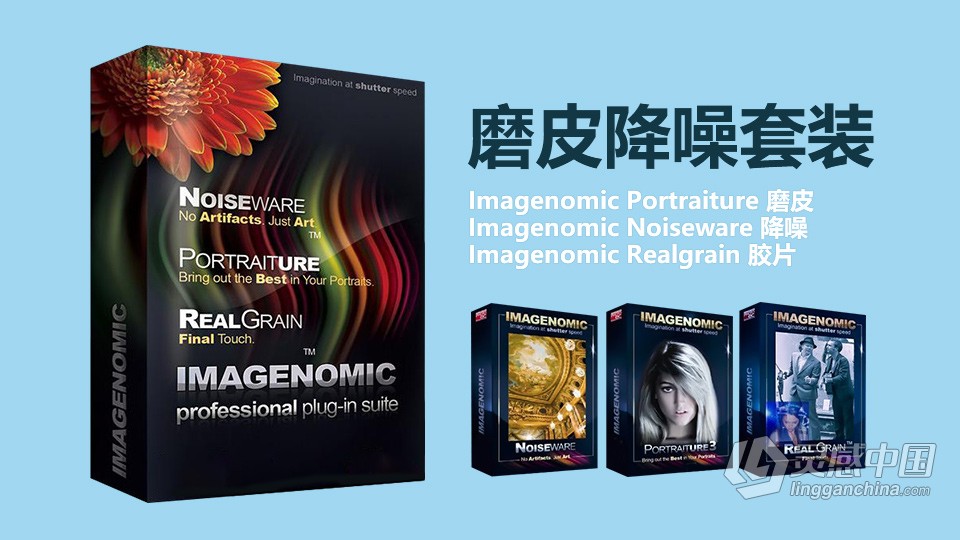 PS磨皮降噪3套件 Imagenomic Professional Plugin Suite 1739 WIN中文汉化版 含Portraiture 3.5.7和  灵感中国社区 www.lingganchina.com