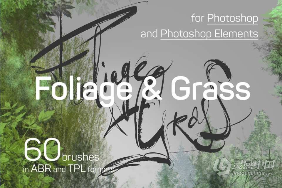 60种地表苔藓地衣草地叶子植物PS笔刷套装 60 Photoshop Foliage &amp; Grass brushes  灵感中国社区 www.lingganchina.com