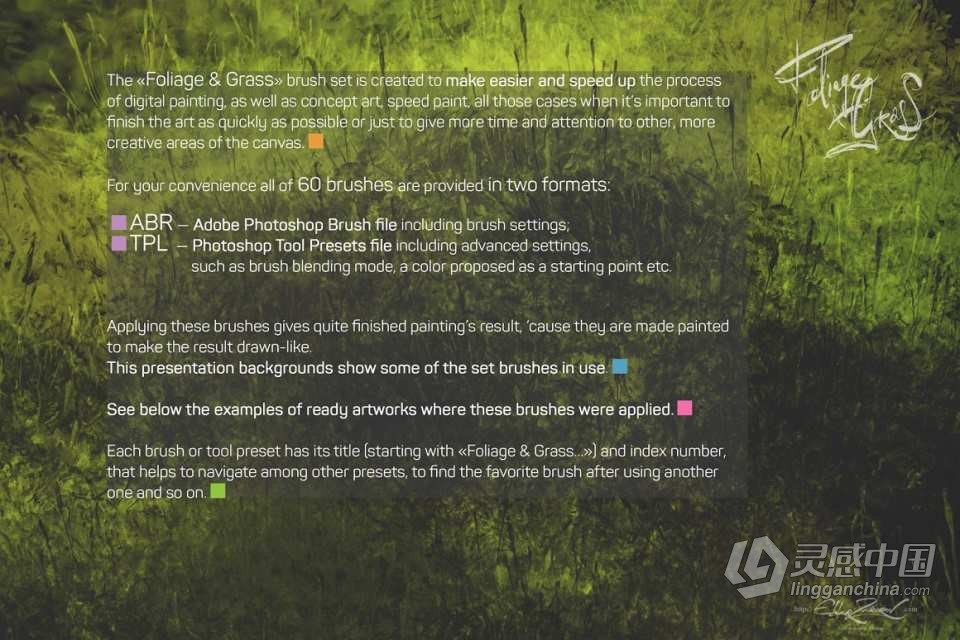 60种地表苔藓地衣草地叶子植物PS笔刷套装 60 Photoshop Foliage &amp; Grass brushes  灵感中国网 www.lingganchina.com