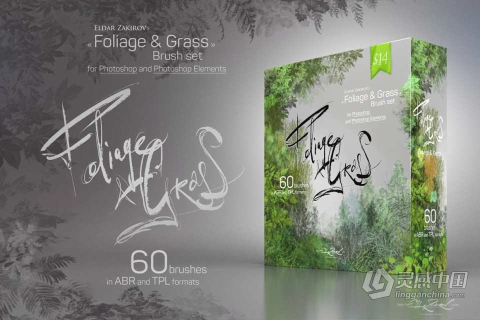 60种地表苔藓地衣草地叶子植物PS笔刷套装 60 Photoshop Foliage &amp; Grass brushes  灵感中国网 www.lingganchina.com