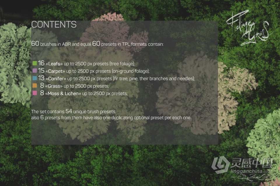 60种地表苔藓地衣草地叶子植物PS笔刷套装 60 Photoshop Foliage &amp; Grass brushes  灵感中国网 www.lingganchina.com
