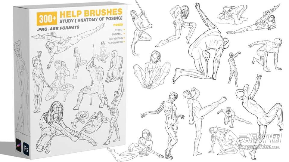 300个人体姿势动作剖析艺术线条素描绘画PS笔刷 300 Help Brushes Vol.2 Study  灵感中国网 www.lingganchina.com