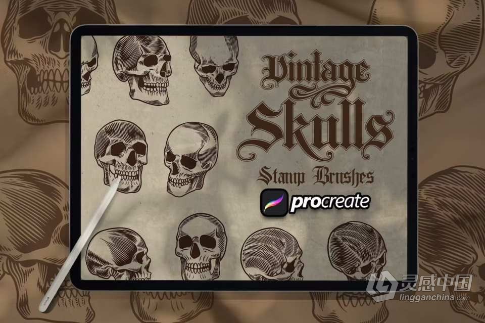 【Procreate笔刷】10个Ipad绘画的复古骷髅魔鬼头像Procreate笔刷 Vintage Skull Brush Stamp  灵感中国社区 www.lingganchina.com