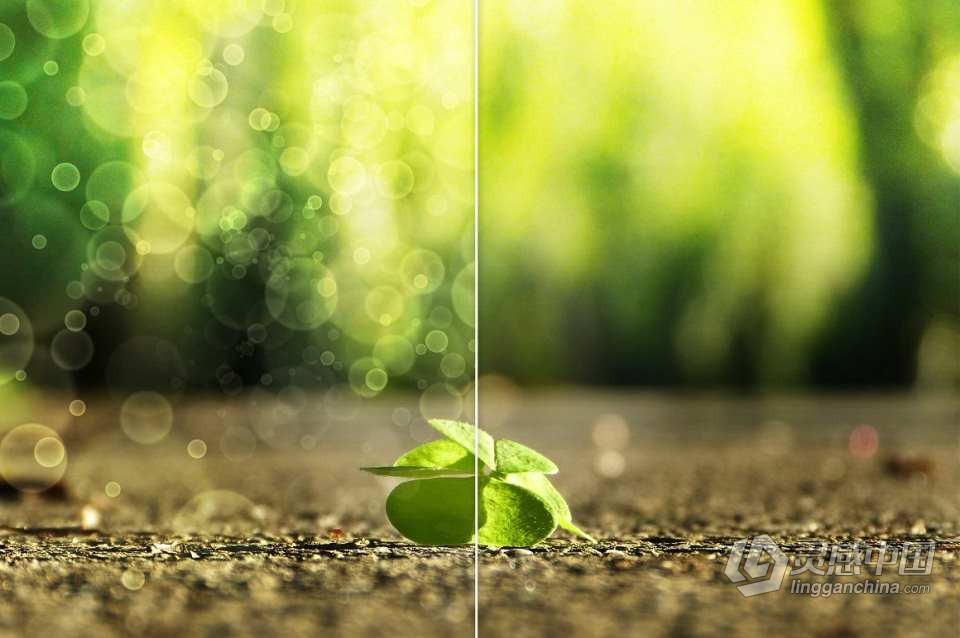 【PS笔刷】60个发光圆点菱形散景光斑PS笔刷Affinity画笔Procreate笔刷 60 Bokeh Brushes &amp; PNGs  灵感中国网 www.lingganchina.com