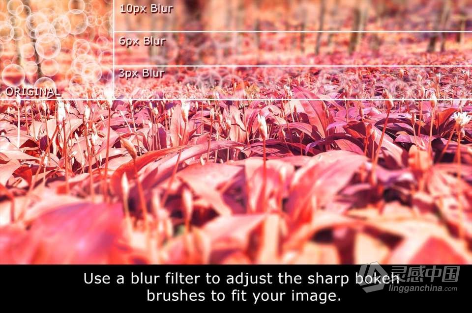 【PS笔刷】60个发光圆点菱形散景光斑PS笔刷Affinity画笔Procreate笔刷 60 Bokeh Brushes &amp; PNGs  灵感中国网 www.lingganchina.com