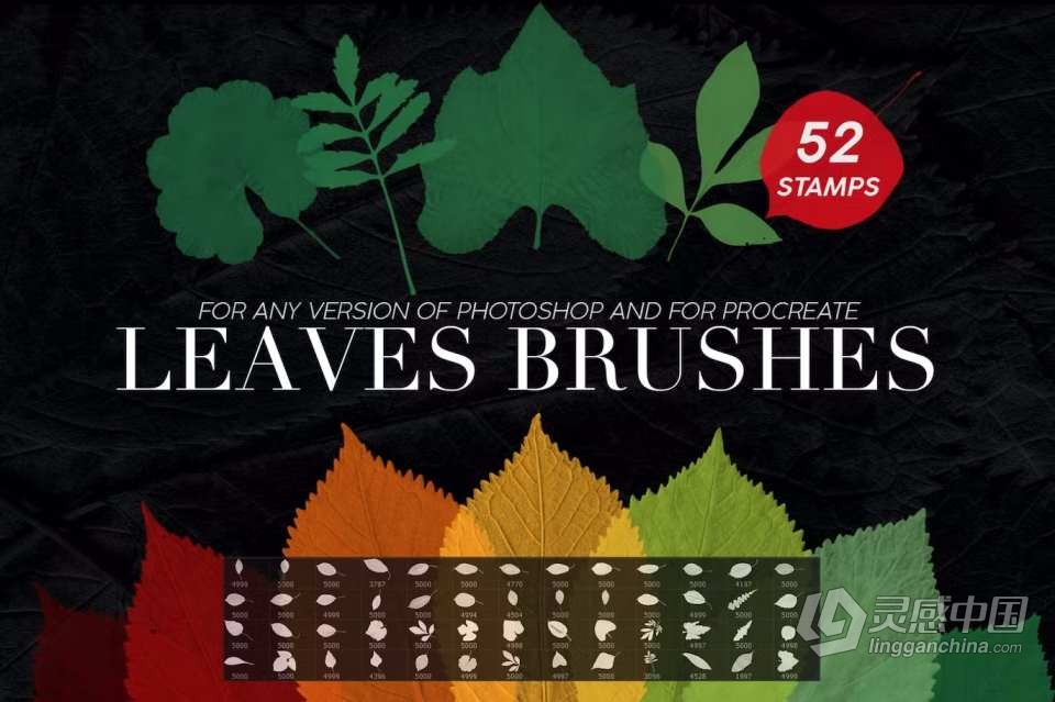 【PS笔刷】52支高分辨率新鲜树叶形状PS笔刷 52 Leaves photoshop Stamp Brushes  灵感中国网 www.lingganchina.com