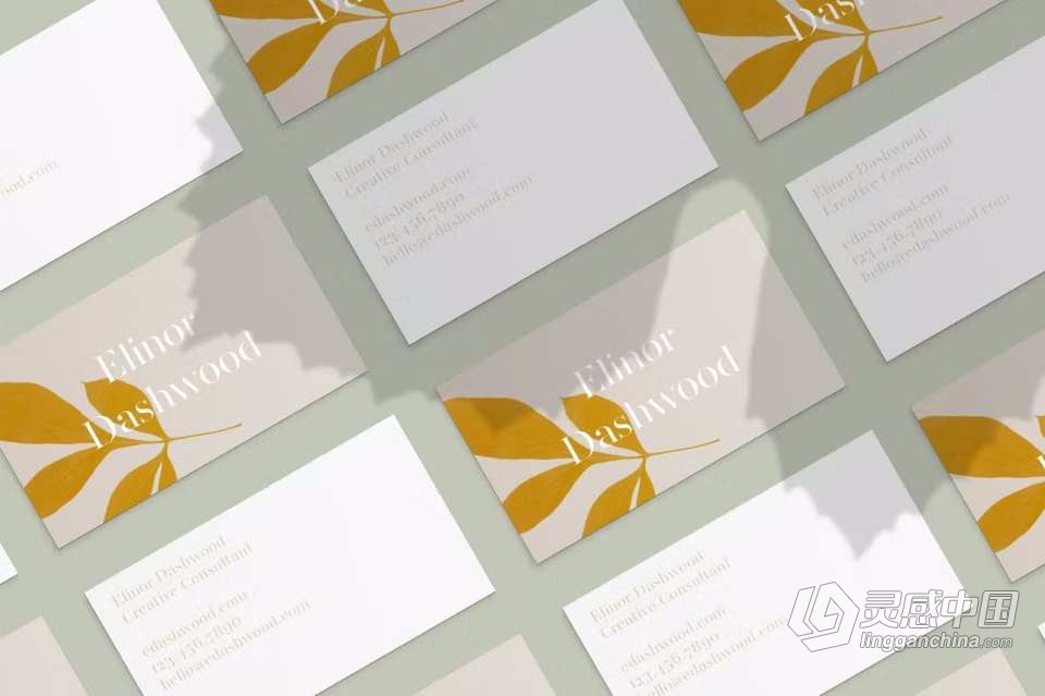 【PS笔刷】52支高分辨率新鲜树叶形状PS笔刷 52 Leaves photoshop Stamp Brushes  灵感中国网 www.lingganchina.com