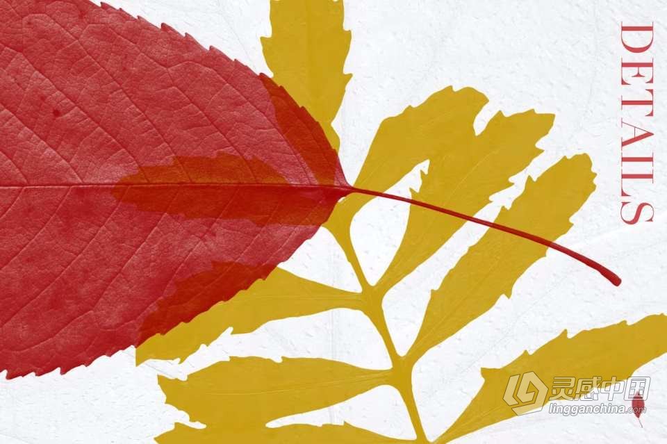 【PS笔刷】52支高分辨率新鲜树叶形状PS笔刷 52 Leaves photoshop Stamp Brushes  灵感中国网 www.lingganchina.com