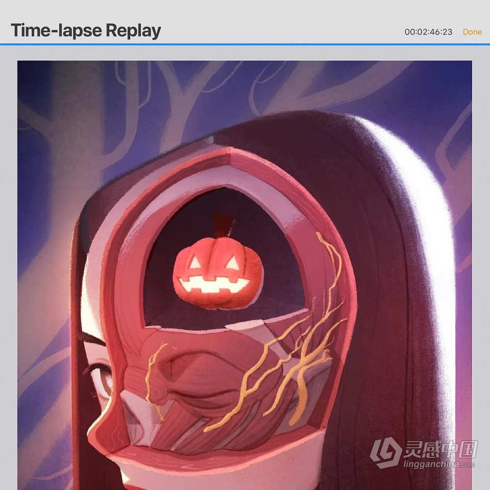 Jingsketch 50套数字绘画Procreate笔刷画笔调色板与视频教程合集  灵感中国网 www.lingganchina.com