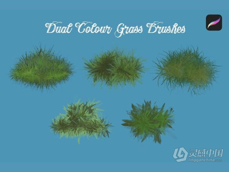 【Procreate笔刷】森林故事画笔套装Procreate笔刷 Forest Tales Procreate Brushes  灵感中国网 www.lingganchina.com