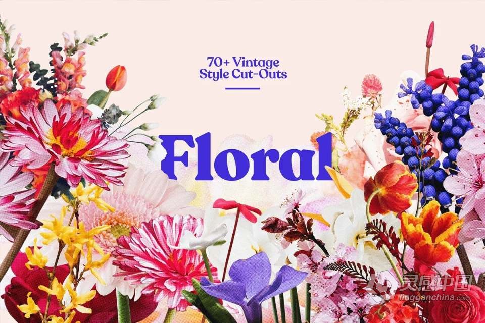 71张复古半色调颗粒风格花草植物PNG剪贴素材 Studio 2am – Floral：70+ Vintage Floral Cut-Outs  灵感中国网 www.lingganchina.com