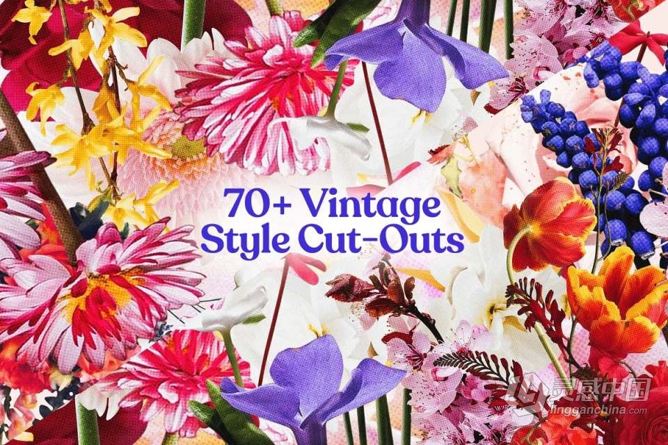 71张复古半色调颗粒风格花草植物PNG剪贴素材 Studio 2am – Floral：70+ Vintage Floral Cut-Outs  灵感中国网 www.lingganchina.com