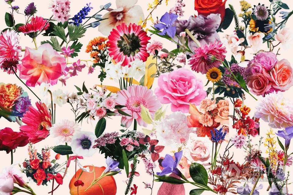 71张复古半色调颗粒风格花草植物PNG剪贴素材 Studio 2am – Floral：70+ Vintage Floral Cut-Outs  灵感中国网 www.lingganchina.com