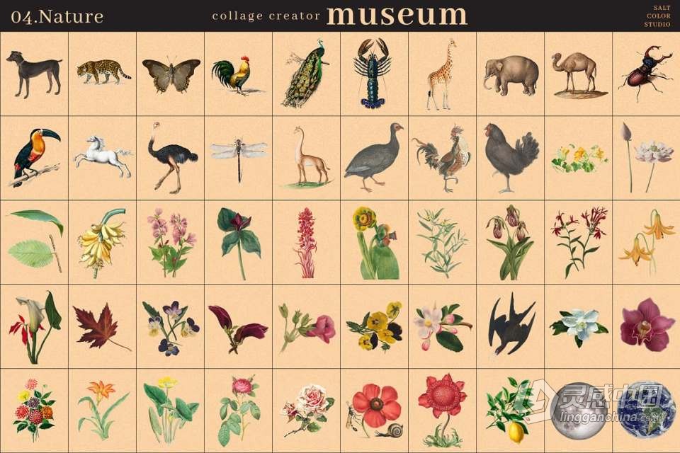 700+博物馆收藏复古人像旧物件插图剪贴画设计PNG图片素材 Museum Collage Creator  灵感中国网 www.lingganchina.com