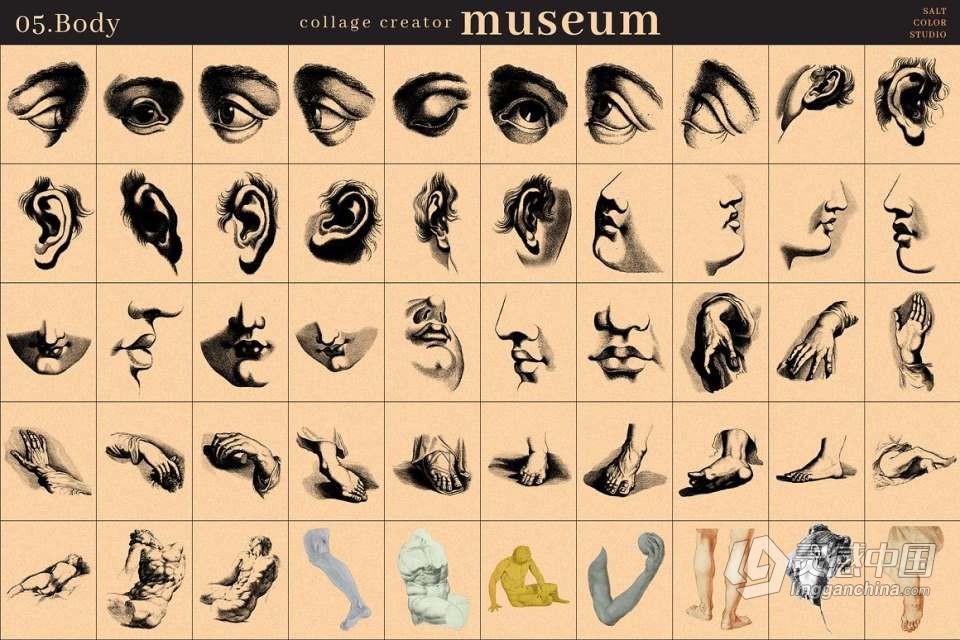 700+博物馆收藏复古人像旧物件插图剪贴画设计PNG图片素材 Museum Collage Creator  灵感中国网 www.lingganchina.com