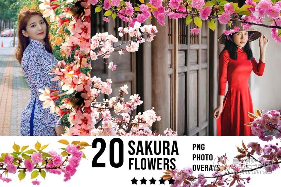 3300+动物花鸟植物藤曼浪漫闪光纸屑彩虹烟雾星空极光等照片叠加合成素材合集 3300+ Photo Overlays Bundle + FREE Act  灵感中国网 www.lingganchina.com