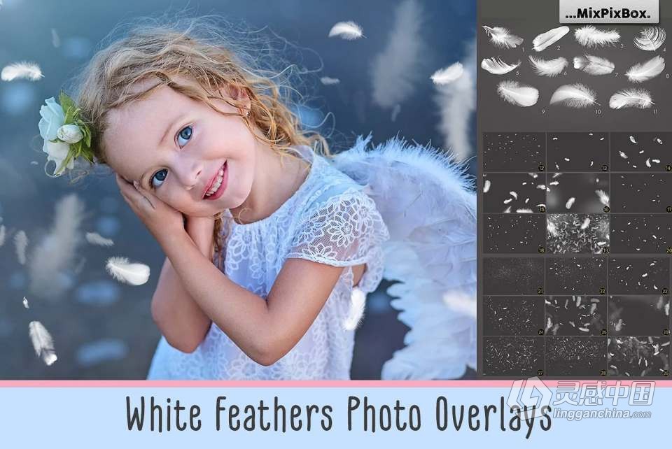 29张温柔轻盈白色羽毛创意设计合成PNG素材 White Feathers Overlays  灵感中国网 www.lingganchina.com