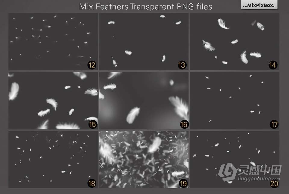29张温柔轻盈白色羽毛创意设计合成PNG素材 White Feathers Overlays  灵感中国网 www.lingganchina.com