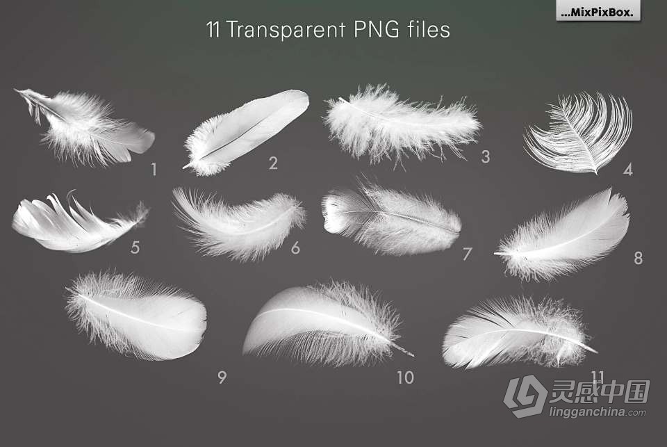 29张温柔轻盈白色羽毛创意设计合成PNG素材 White Feathers Overlays  灵感中国网 www.lingganchina.com