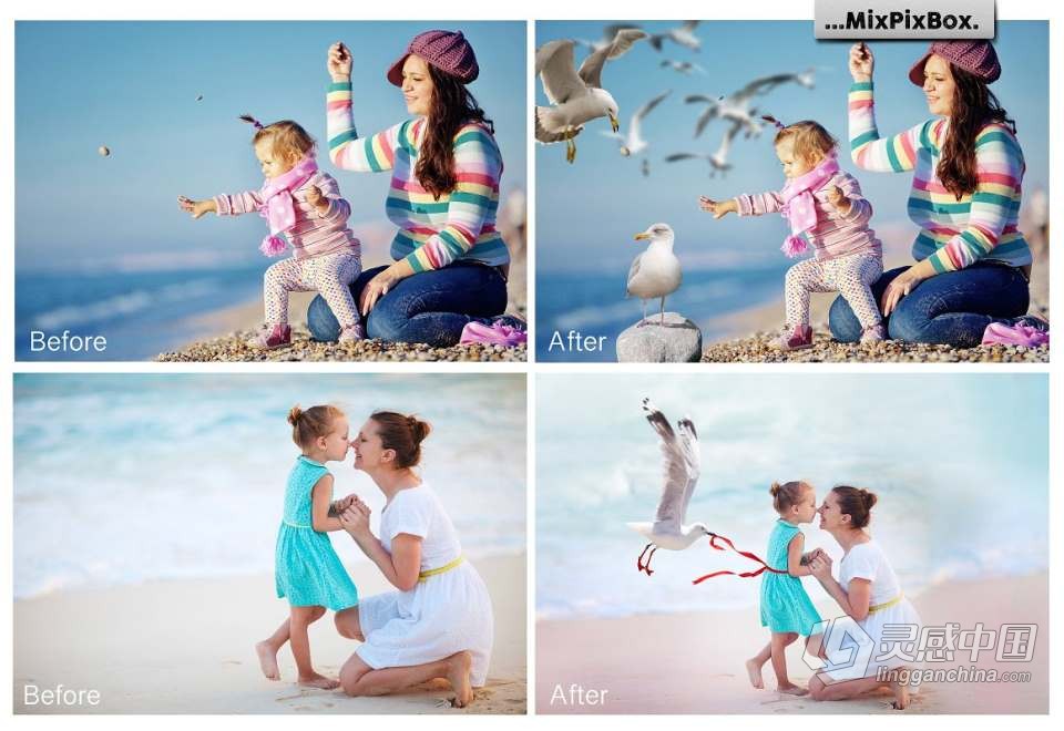 31张飞翔的海鸥海鸟PS设计合成PNG图片素材 Seagulls Overlays  灵感中国网 www.lingganchina.com