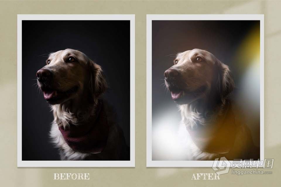 53张镜头光晕散景耀斑霓虹辉光光效照片叠加素材 Film Light Overlays Digital Bokeh  灵感中国网 www.lingganchina.com