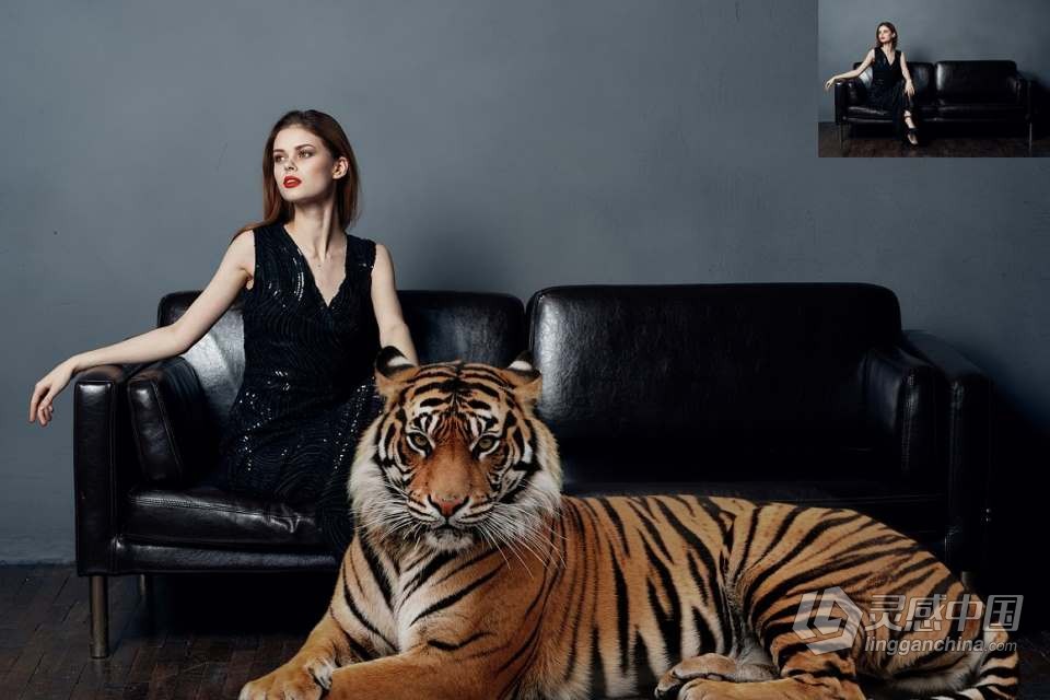 26张高清老虎创意合成PNG图片素材 26 Tiger Photo Overlays  灵感中国网 www.lingganchina.com