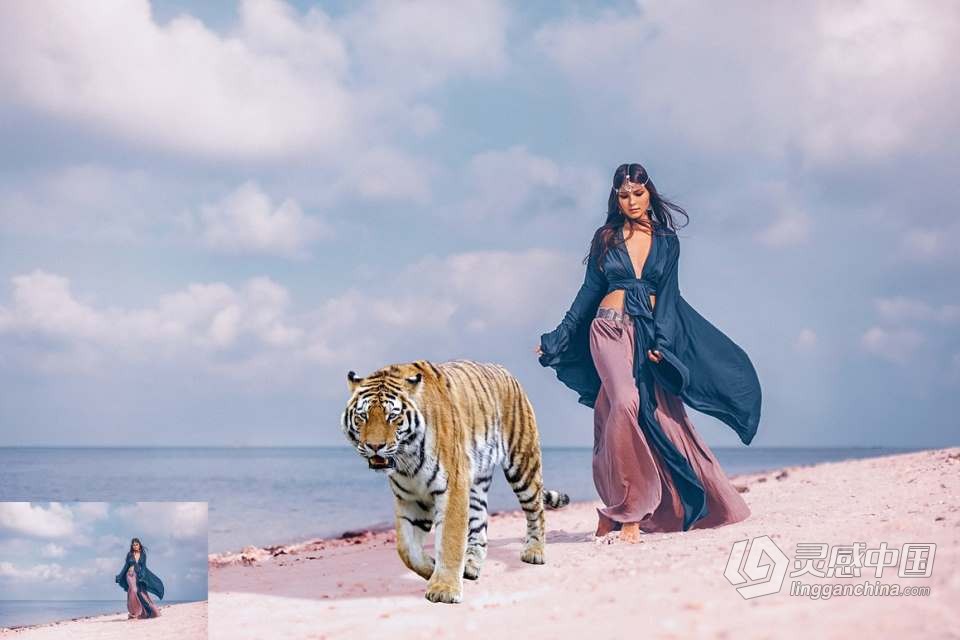 26张高清老虎创意合成PNG图片素材 26 Tiger Photo Overlays  灵感中国网 www.lingganchina.com