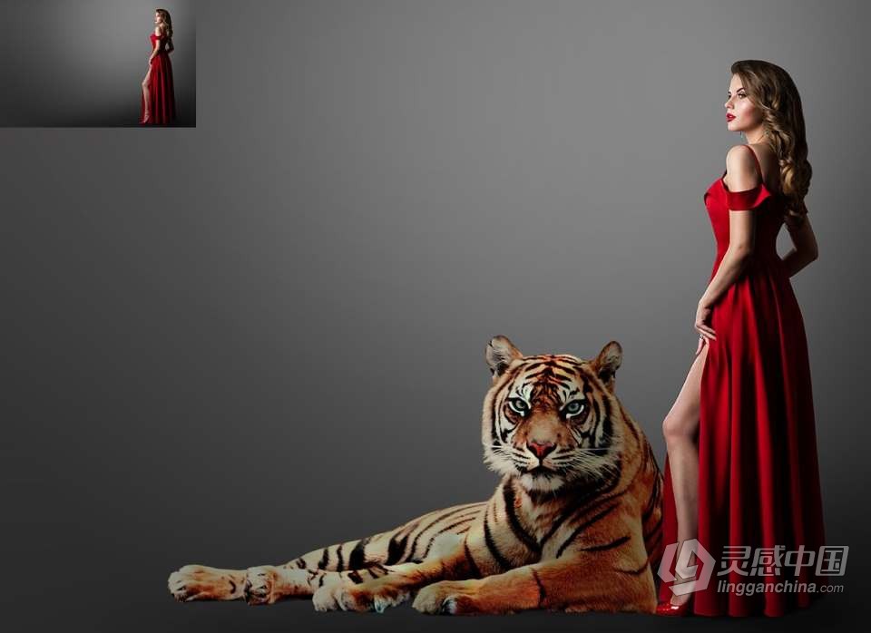 26张高清老虎创意合成PNG图片素材 26 Tiger Photo Overlays  灵感中国网 www.lingganchina.com