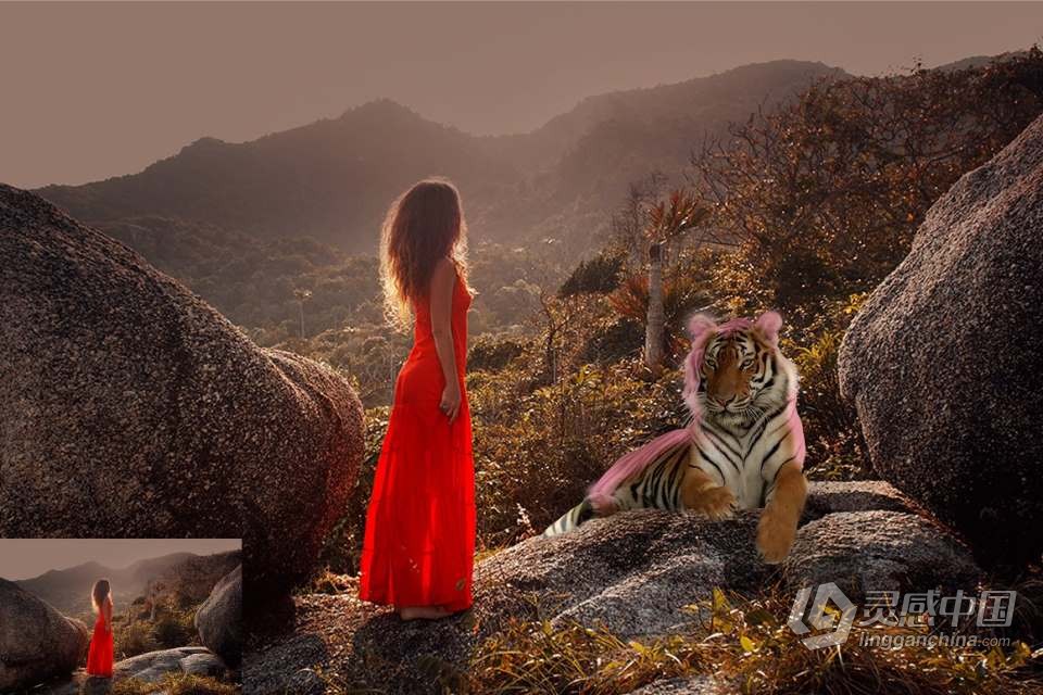 26张高清老虎创意合成PNG图片素材 26 Tiger Photo Overlays  灵感中国网 www.lingganchina.com