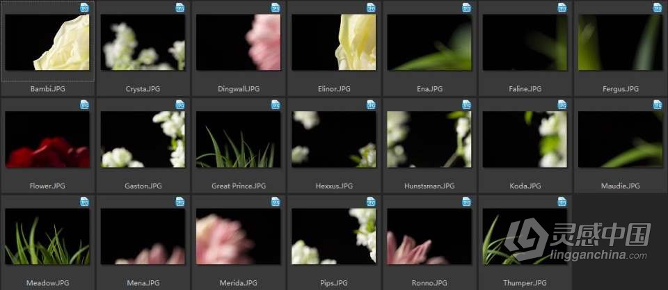 200张电影人像摄影后期调整叠加纹理合成素材卷2 PROEDU – Master Collection | 200 Cinematic Portrait Ove  灵感中国网 www.lingganchina.com