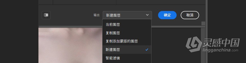 PS 2024神经网络滤镜 Neural Filters 安装包下载 支持PS 2024 正式版 Win系统下载  灵感中国网 www.lingganchina.com